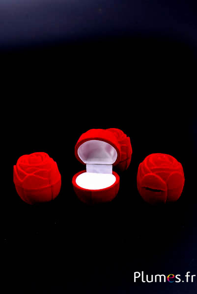 Écrin en forme de rose - 4 x 4 cm - rouge-blanc